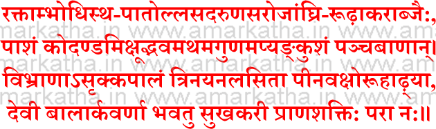 anant chaturdshi pujan vidhi