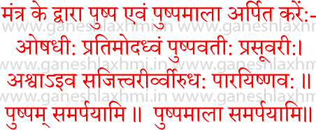 narsingh jayanti puja vidhi in hindi